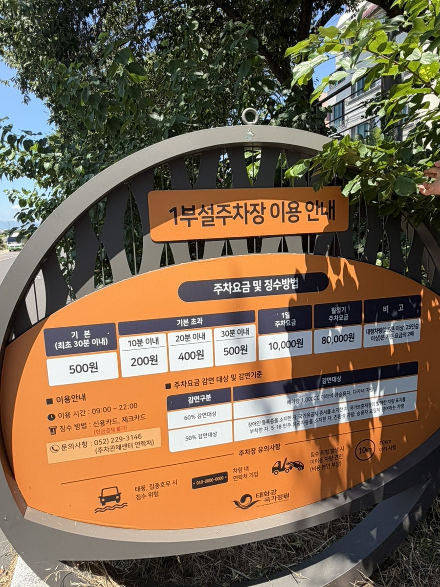 맨날국수 태화강직영점 사진 4