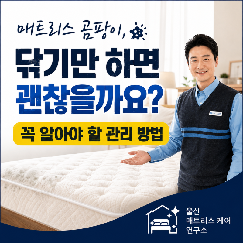 매트리스 곰팡이, 닦기만 하면 괜찮을까요? 꼭 알아야 할 관리 방법