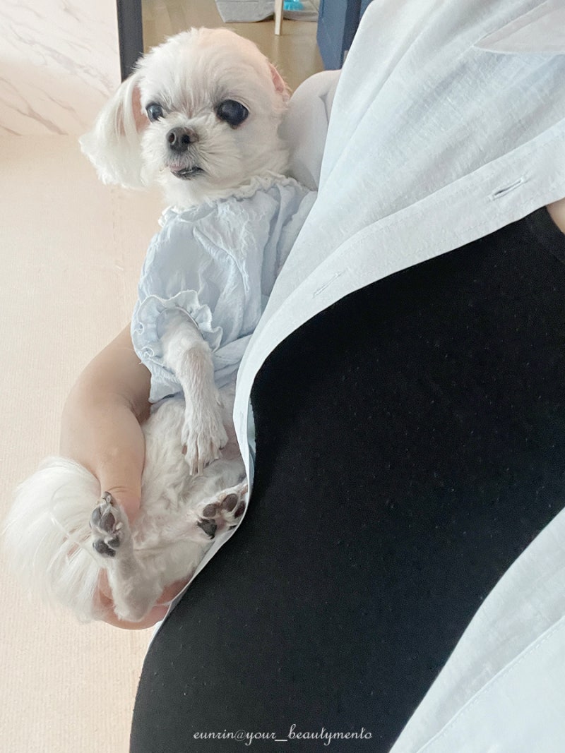 또복 임신 28주, 임산부 장염 약&수액 산부인과 또 감, 먹을 수 있는 음식