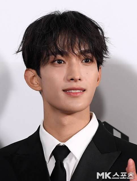 "2026년 9월 군 입대?!" 세븐틴 도겸 프로필 나이 본명 키 학력 고향 가족 데뷔 소속사 MBTI