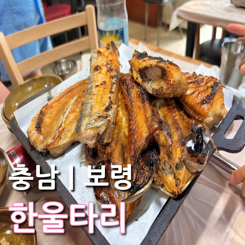 충남 보령 맛집 추천｜한울타리 생선구이 정식 가격·메뉴 정보