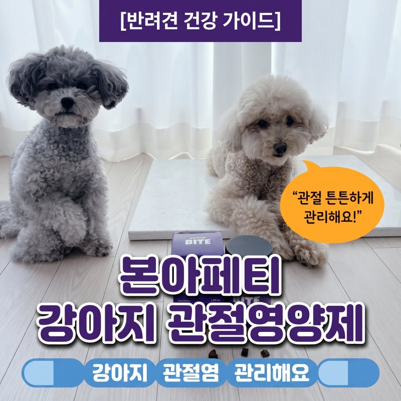 강아지 관절영양제 급여로 강아지 관절염 관리해요