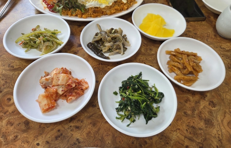 보리밭 사진 5