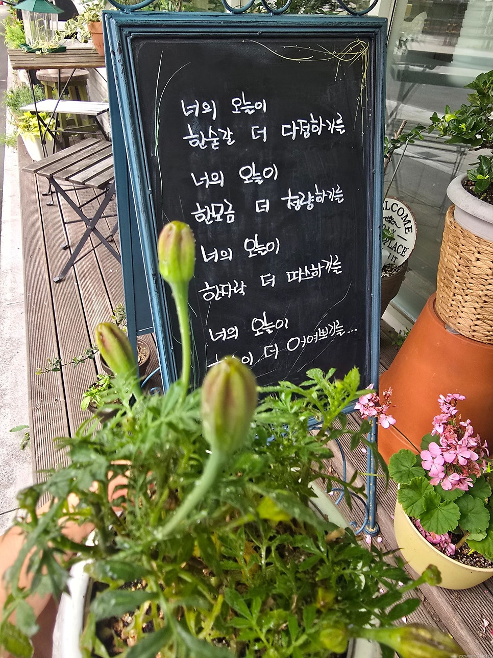 월포식당 사진 6
