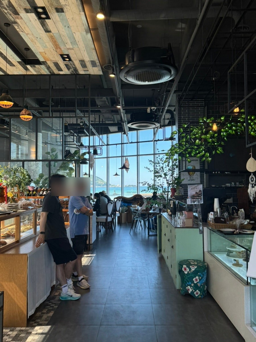 파라 사진 5