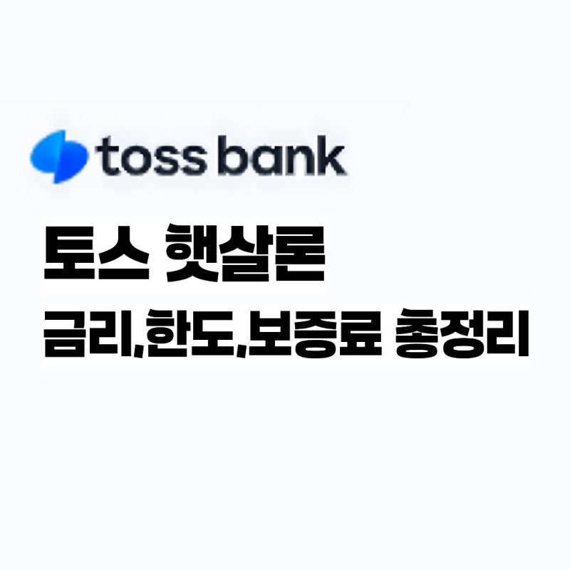 신청방법, 일반·특례 조건과 금리,한도,보증료 총정리