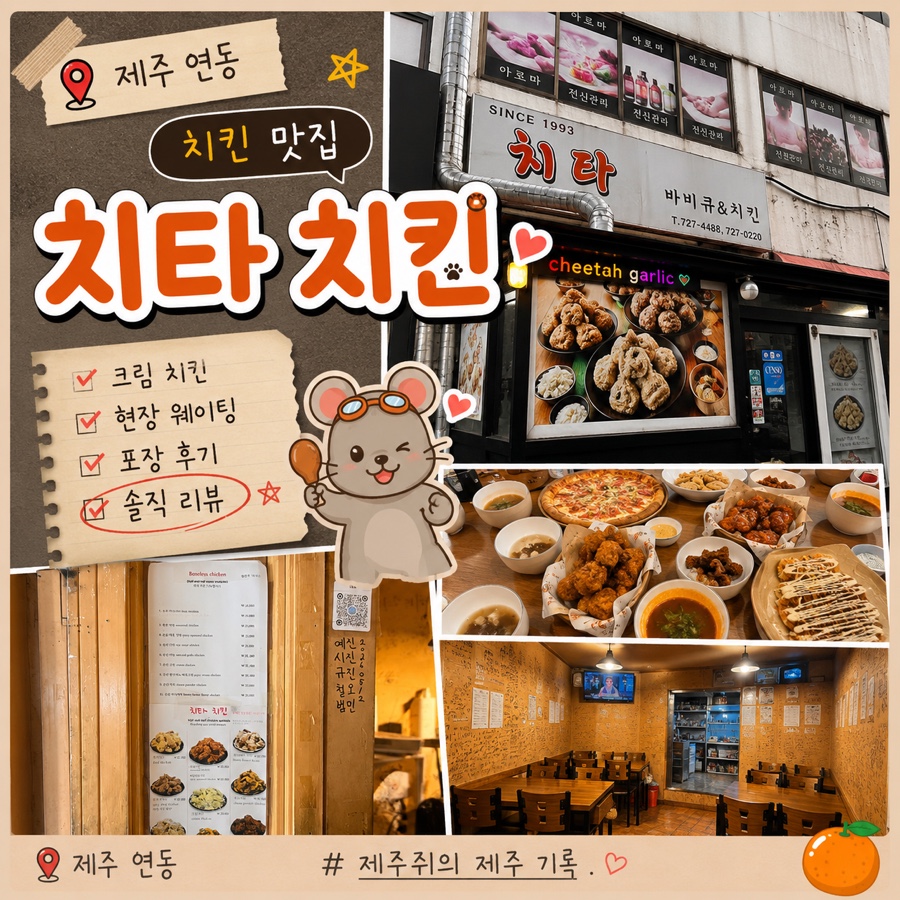 치타 사진 2