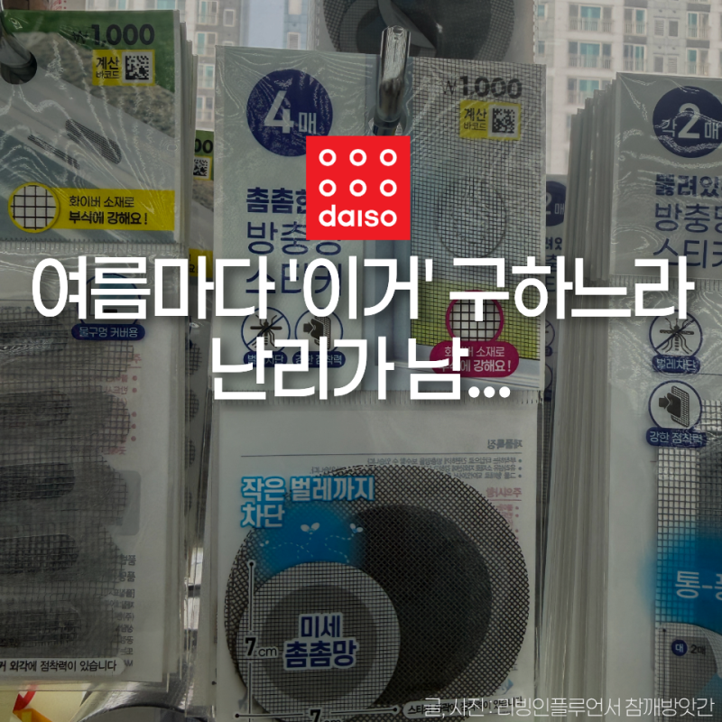 여름마다 '없어서' 못 구해요... 다이소 벌레 퇴치템 3가지