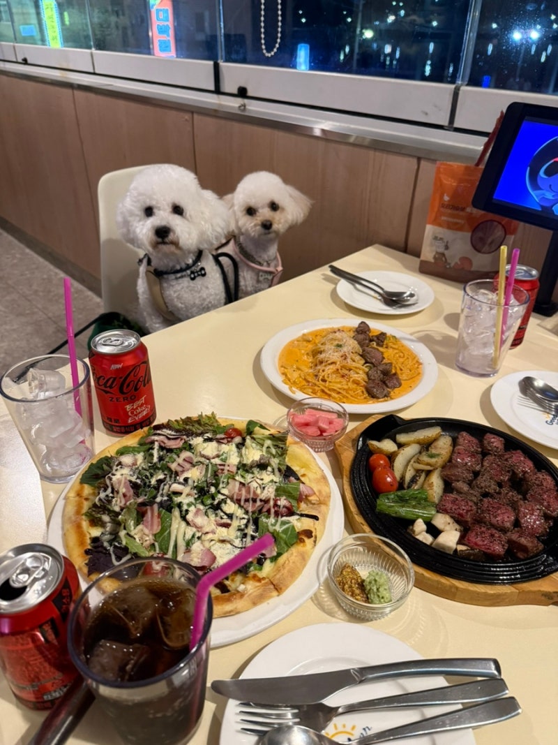 창원귀산맛집, 양식집파스타, 애견동반식당, 굿웨더 후기