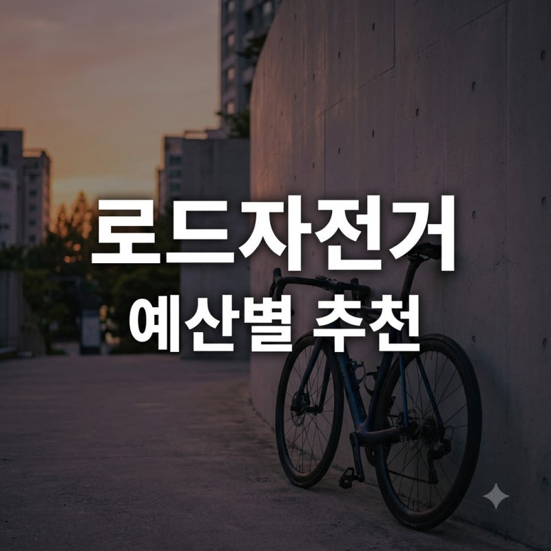 로드자전거 추천 예산별 가성비 모델과 입문자 구매 가이드