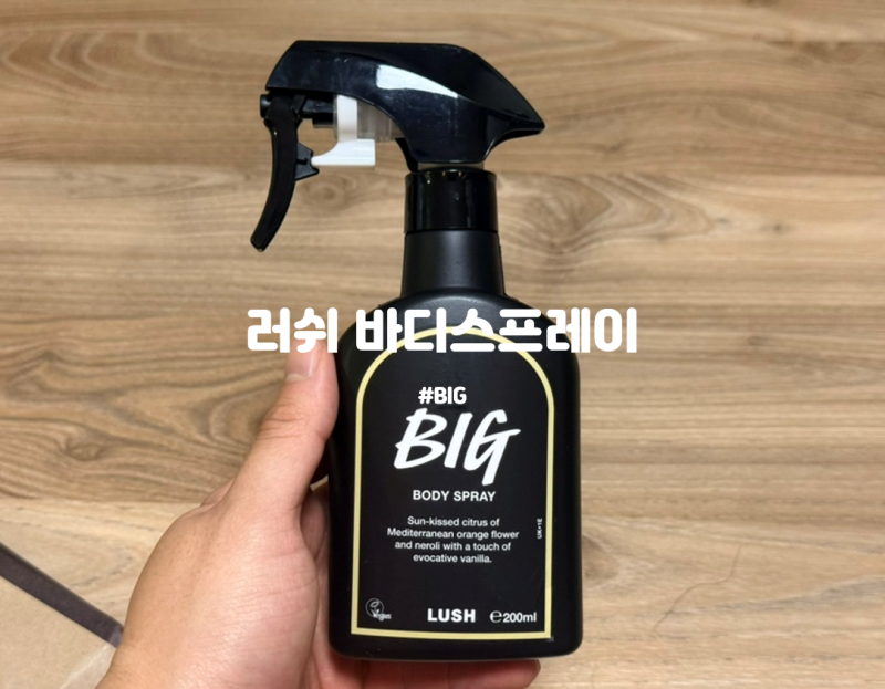 향수 대용으로 쓰기 좋은 러쉬 바디스프레이 빅