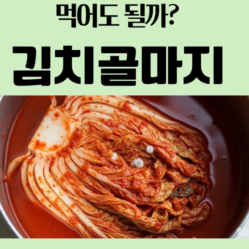 김치골마지뜻 완벽 정리! 곰팡이와 차이점, 원인, 없애는 법까지