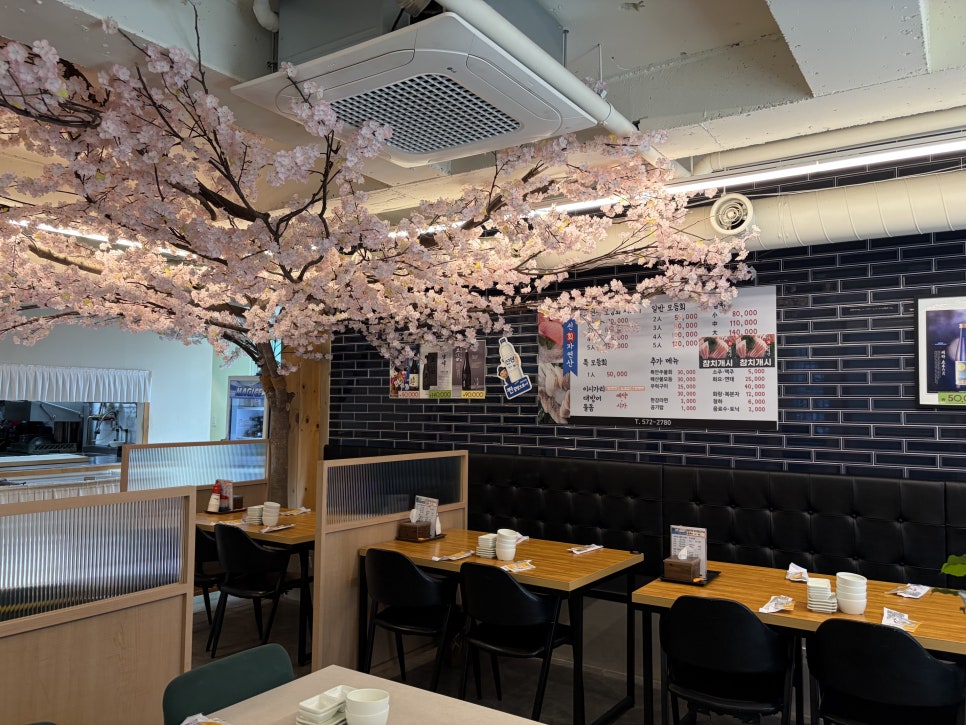 선회자연산 사진 2
