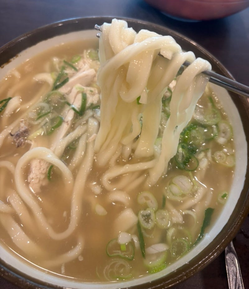 [고양/일산 맛집] 평일에도 웨이팅 있는 이유 닭칼국수 맛집ㅣ일산칼국수본점