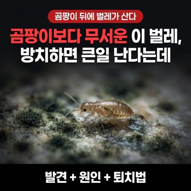 "곰팡이보다 무서운" 이 벌레, 방치하면 큰일 난다는데..