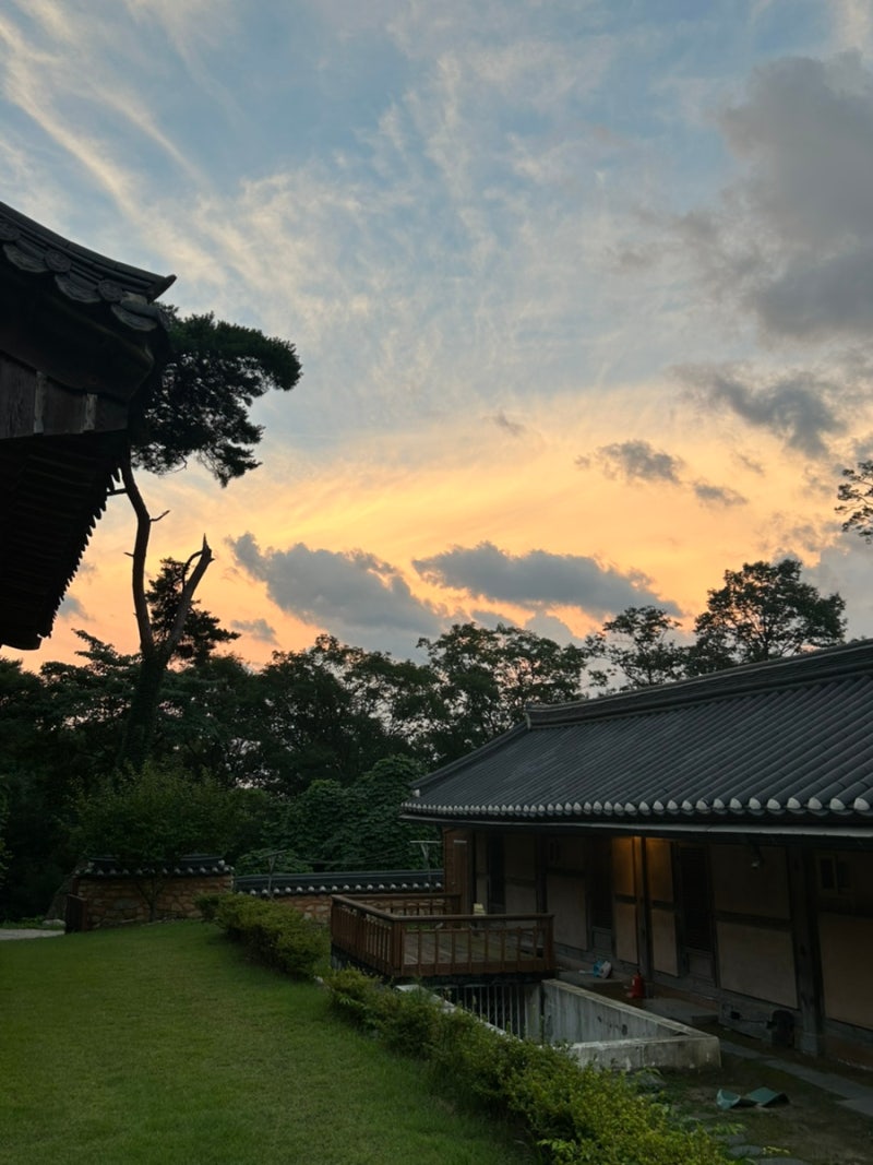 【楊平】龍門寺休息型寺院寄宿2天1夜心得 - 與貓咪們共度炎熱暑假！
