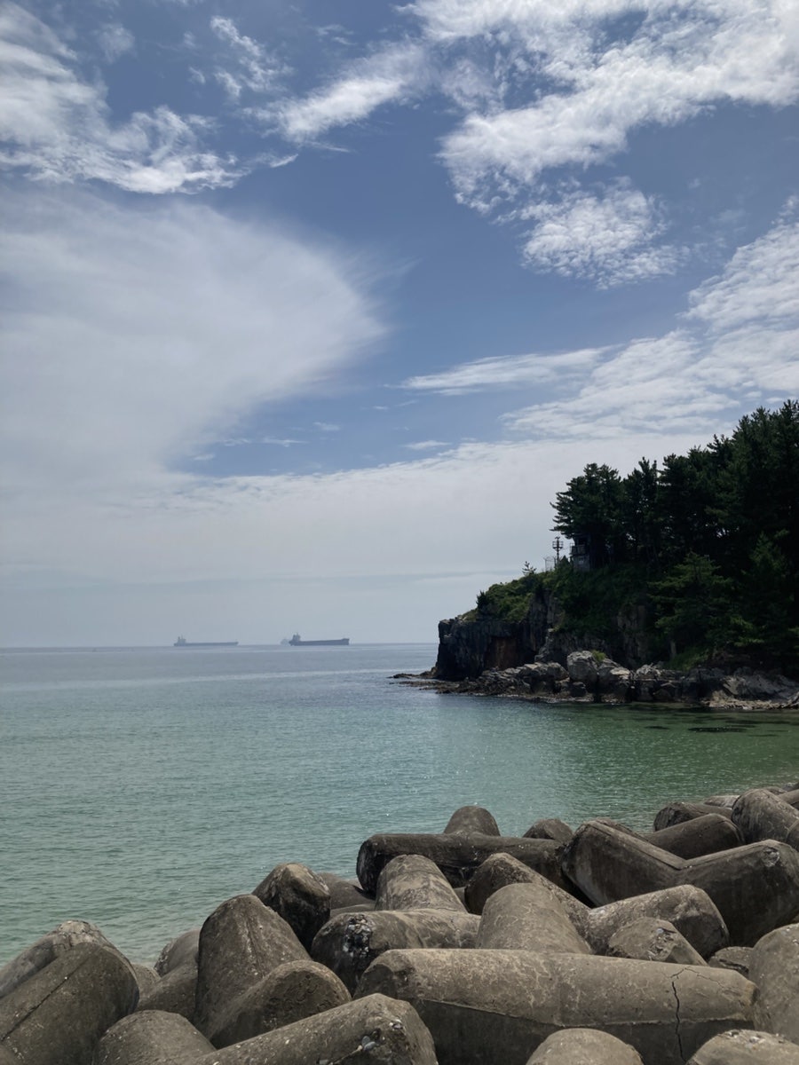 파닭김밥 사진 5