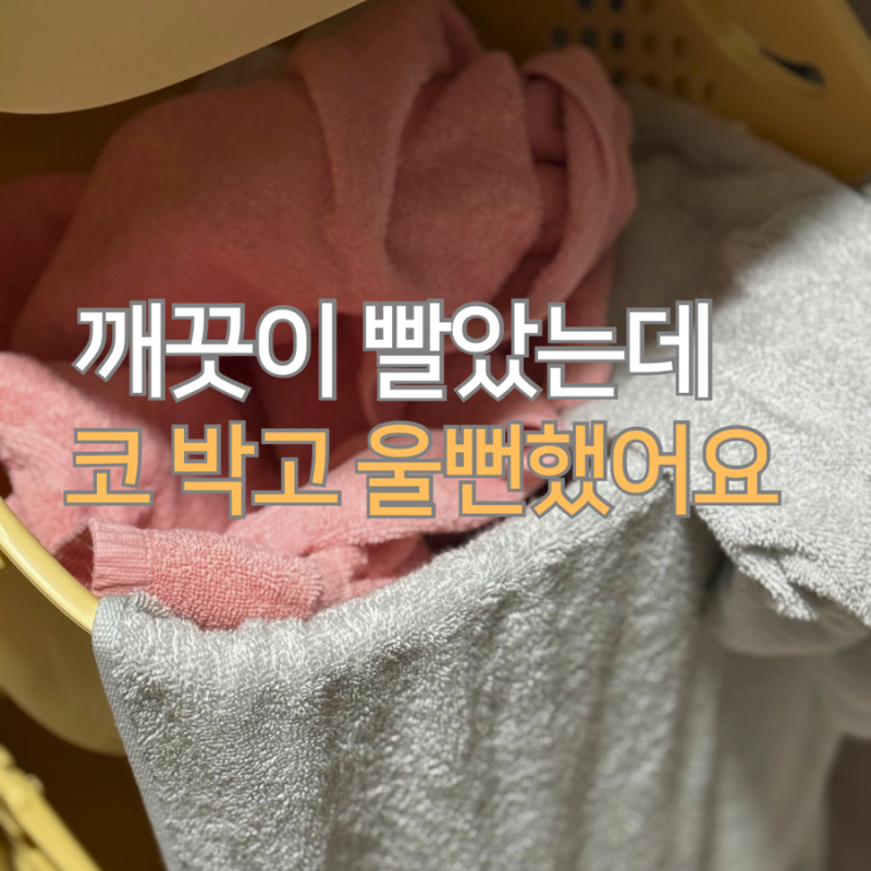 빨래를 해도 "쉰내"가 진동한다면 무조건 바꾸세요, 땀냄새 싹 잡은 모락셀라 세제 솔직 후기