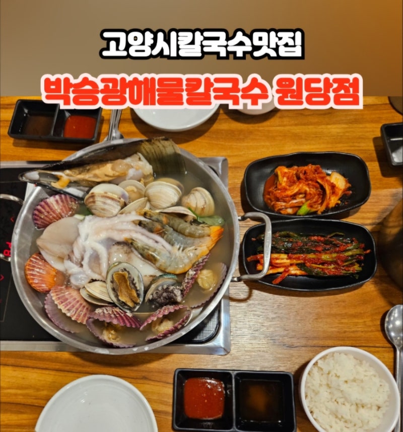 쥬쥬랜드맛집 고양시칼국수 맛집 박승광해물칼국수 원당점