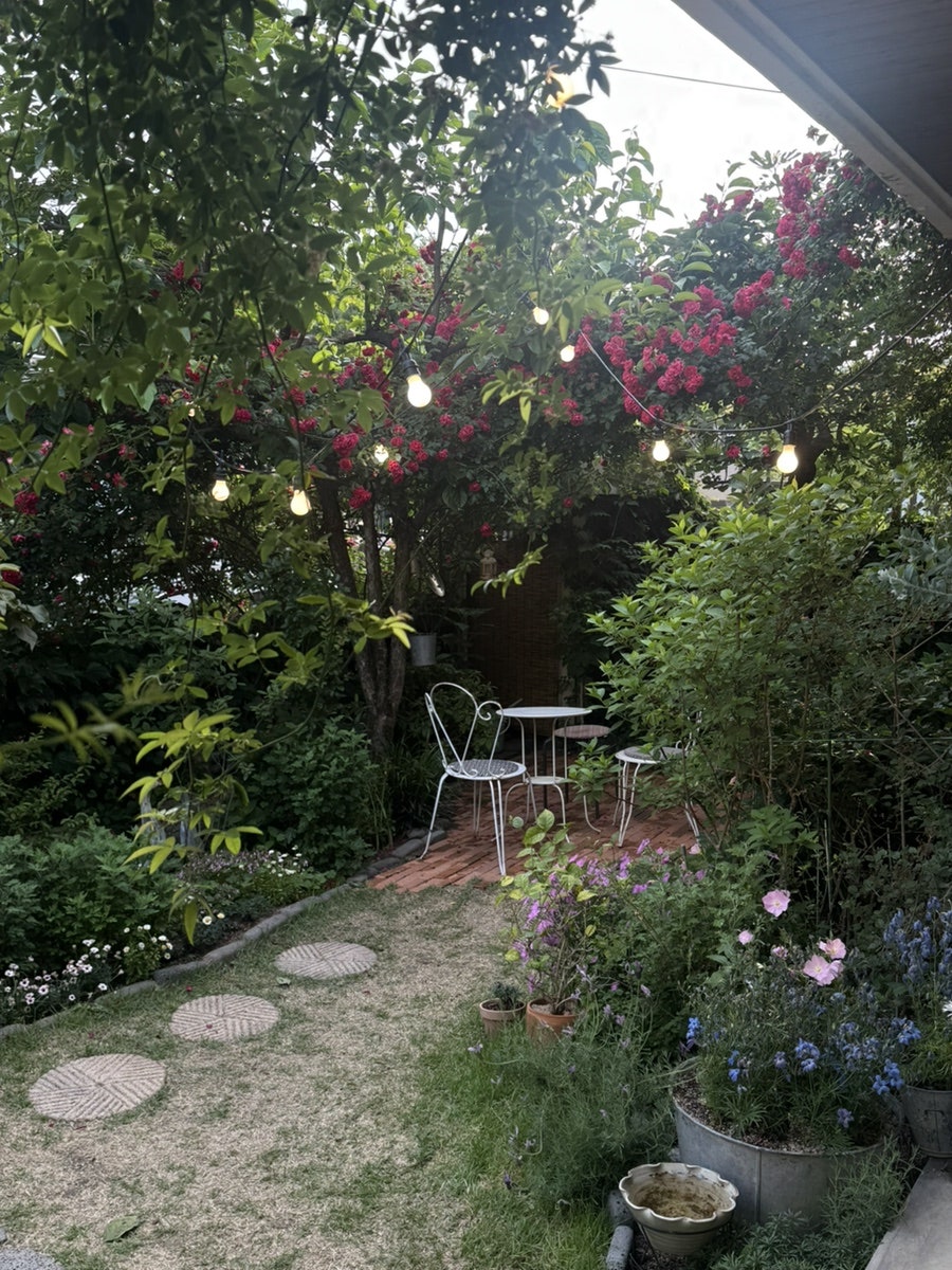 온도씨 사진 5