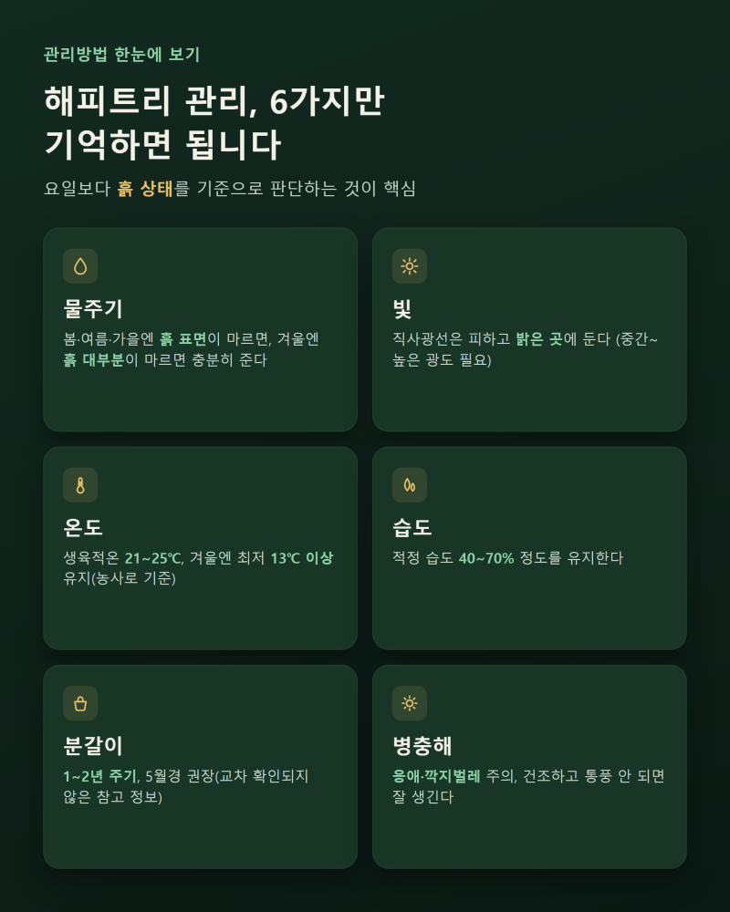 개업화분 해피트리 꽃말과 선물용도｜관리법·난이도·배치