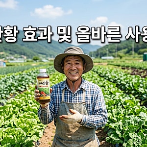 규산황 효과 및 올바른 사용법 희석비율 살포시기 총정리