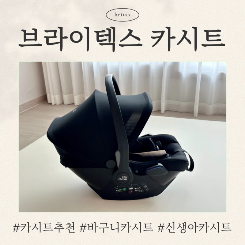 신생아 바구니 카시트 : 브라이텍스