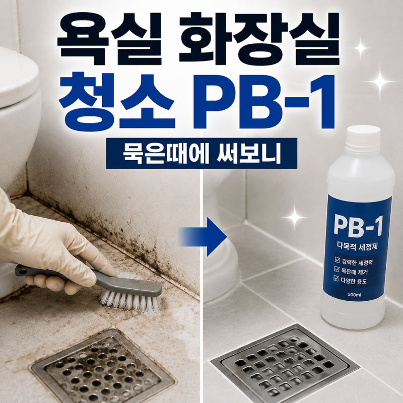 욕실 화장실 청소 PB-1, 주방세제와 락스로 안 지워지던 묵은때에 써보니