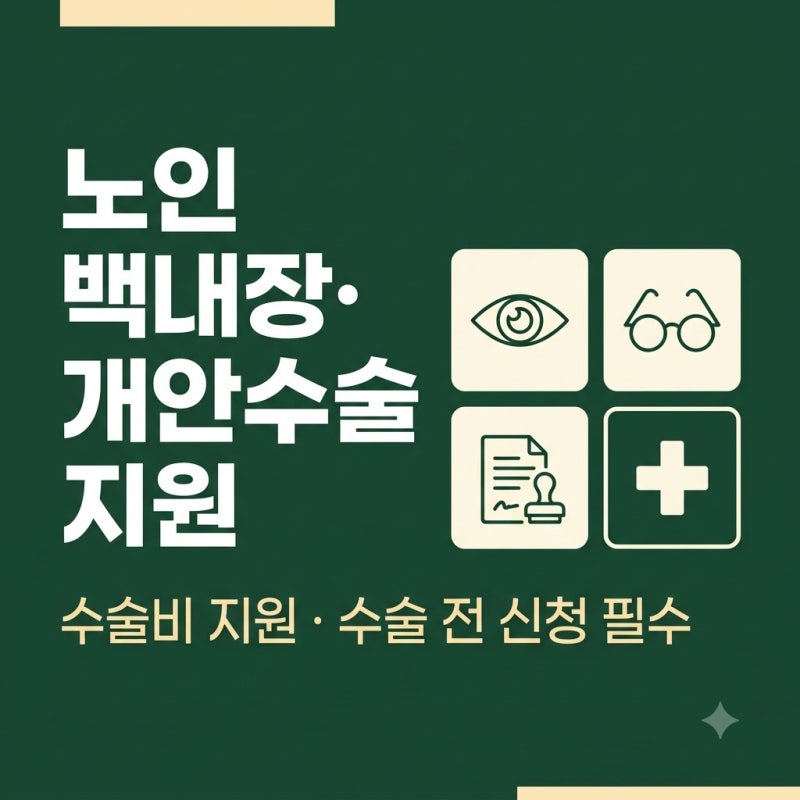노인 백내장·개안수술 지원 2026 | 수술비 지원, 수술 전 신청 필수