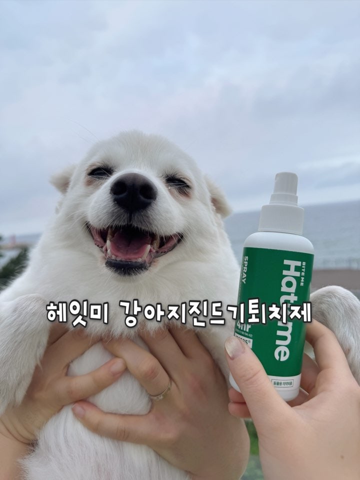 강아지진드기퇴치제 추천, 헤잇미 플러스 IR3535 해충방지 스프레이 사용후기