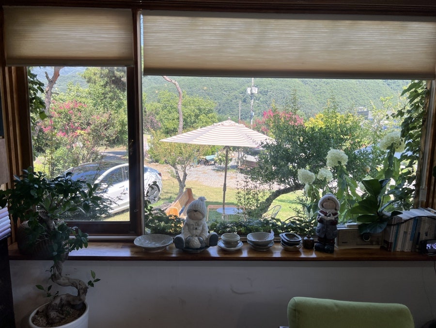 카페보리 사진 5