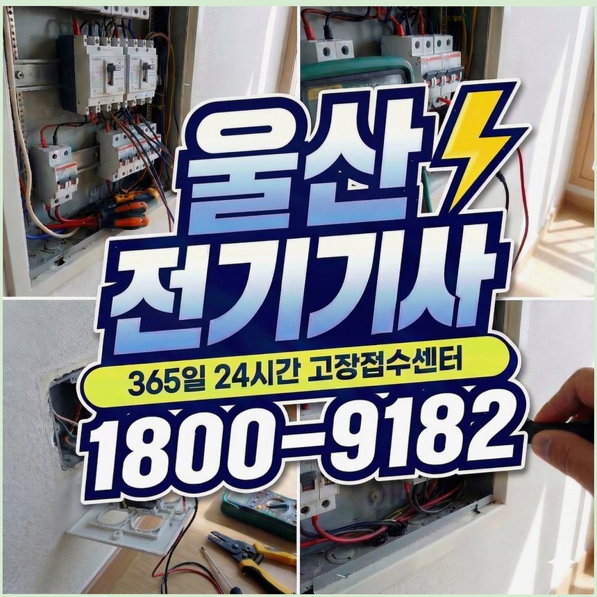 두꺼비집 사진 1