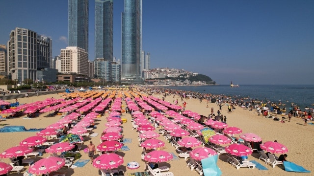 천해 사진 4