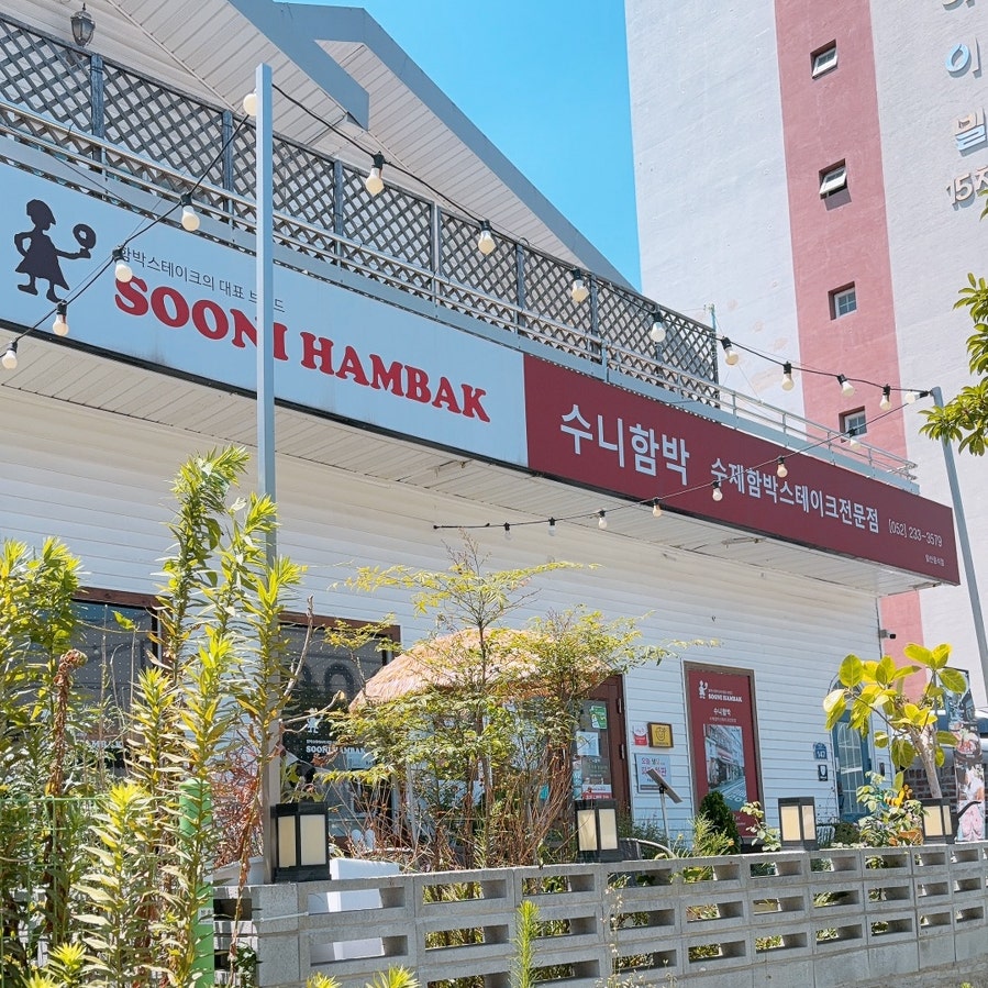 수니함박 사진 2