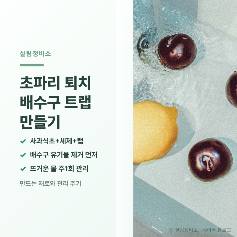 초파리 퇴치 배수구 트랩, 만드는 재료와 관리 주기 기준