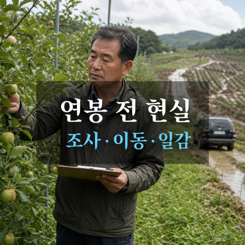 손해평가사 하는일 (+성수기·현장 이동·일감 )