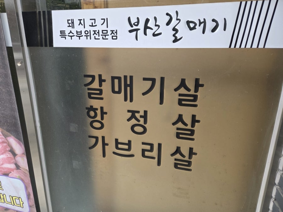 부산갈매기 사진 4