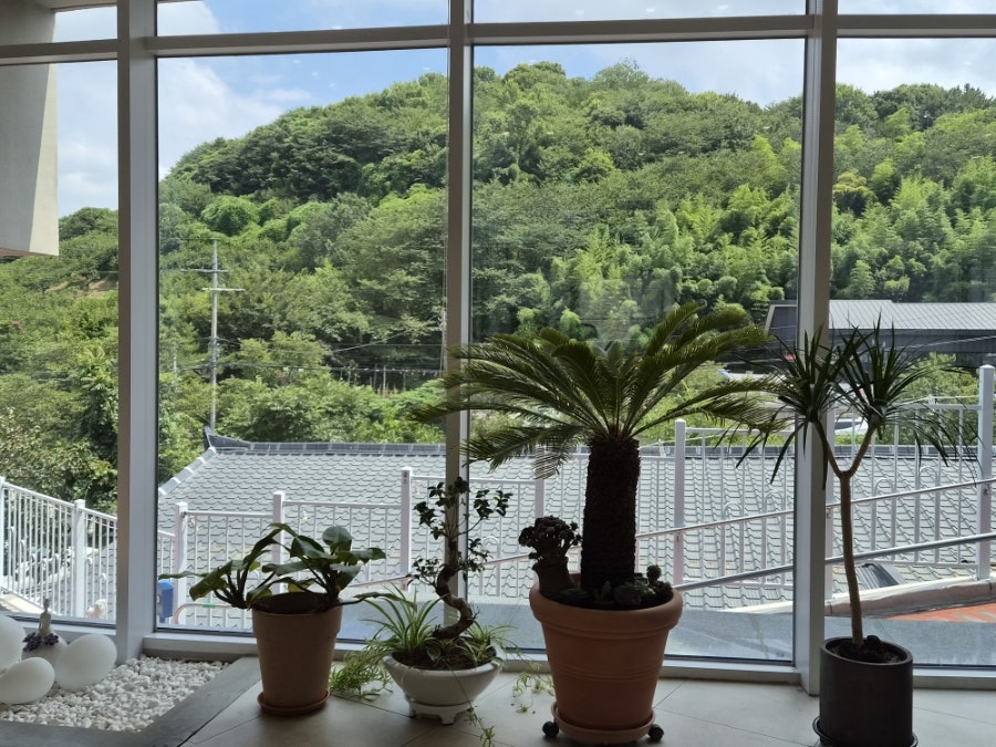 쏠레이 사진 3