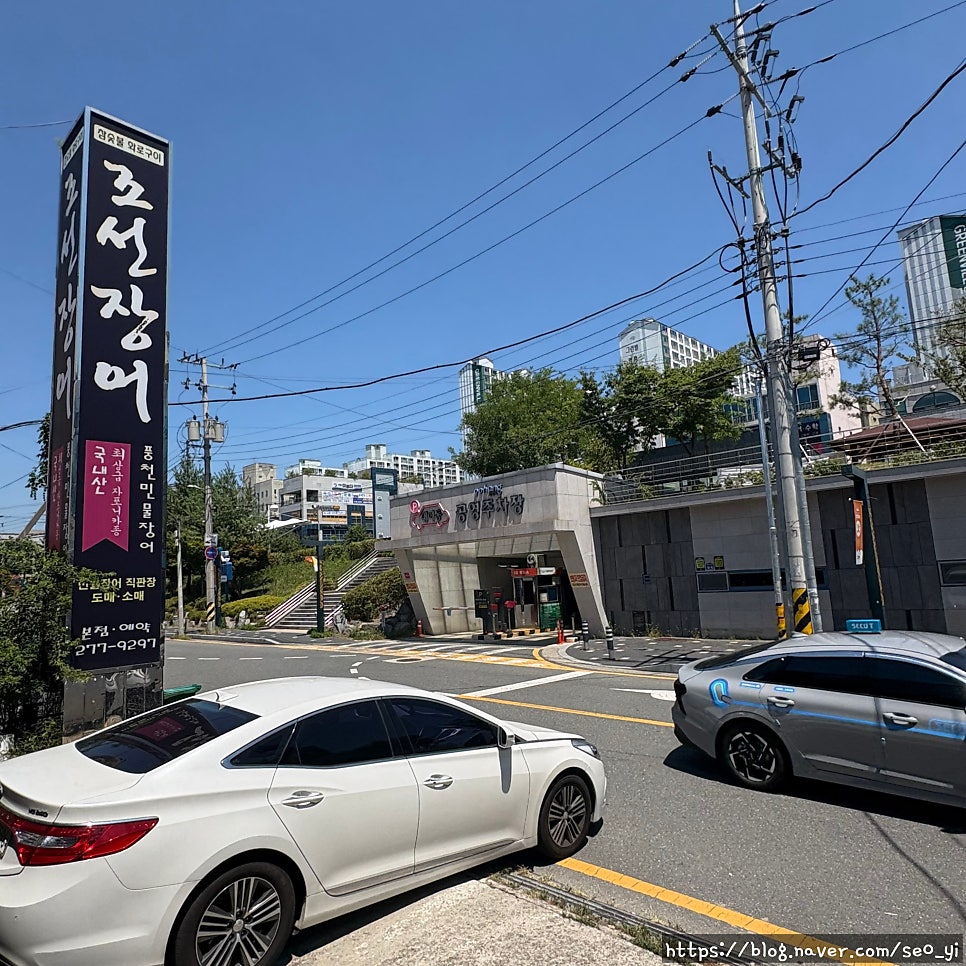 조선장어 사진 2