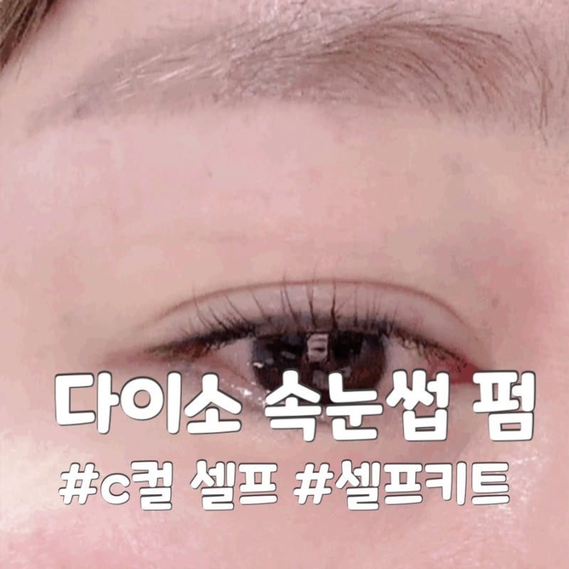 다이소 c컬 셀프속눈썹펌 키트 핫템 셀프 중요팁 후기