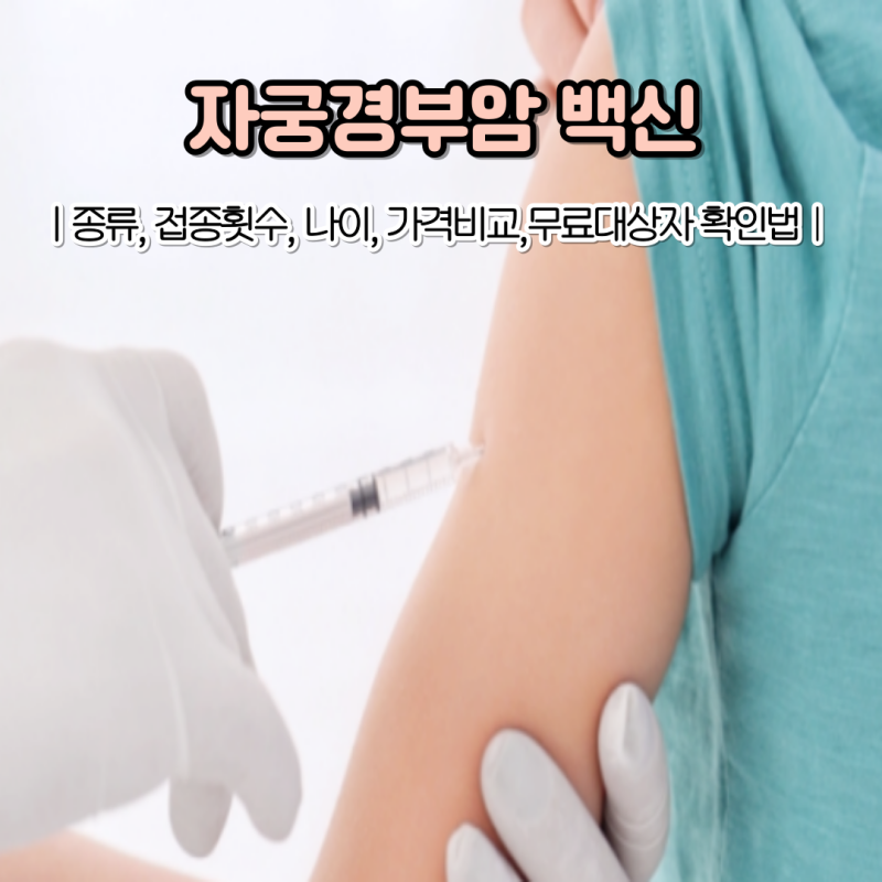 자궁경부암 예방접종 비용 비교 하는법 자궁경부암 백신 나이 접종 횟수
