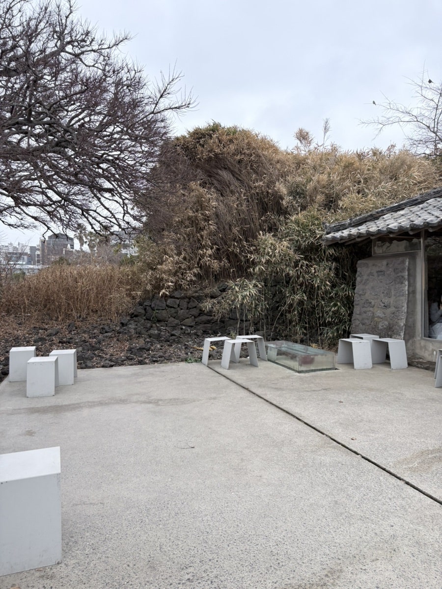 커피냅로스터스 제주 사진 5