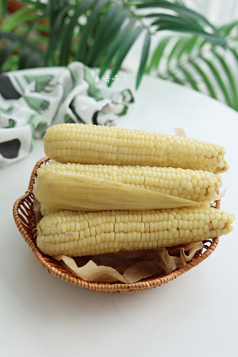 냄비 옥수수 삶는법 뉴슈가 없이 맛있게 옥수수 삶기