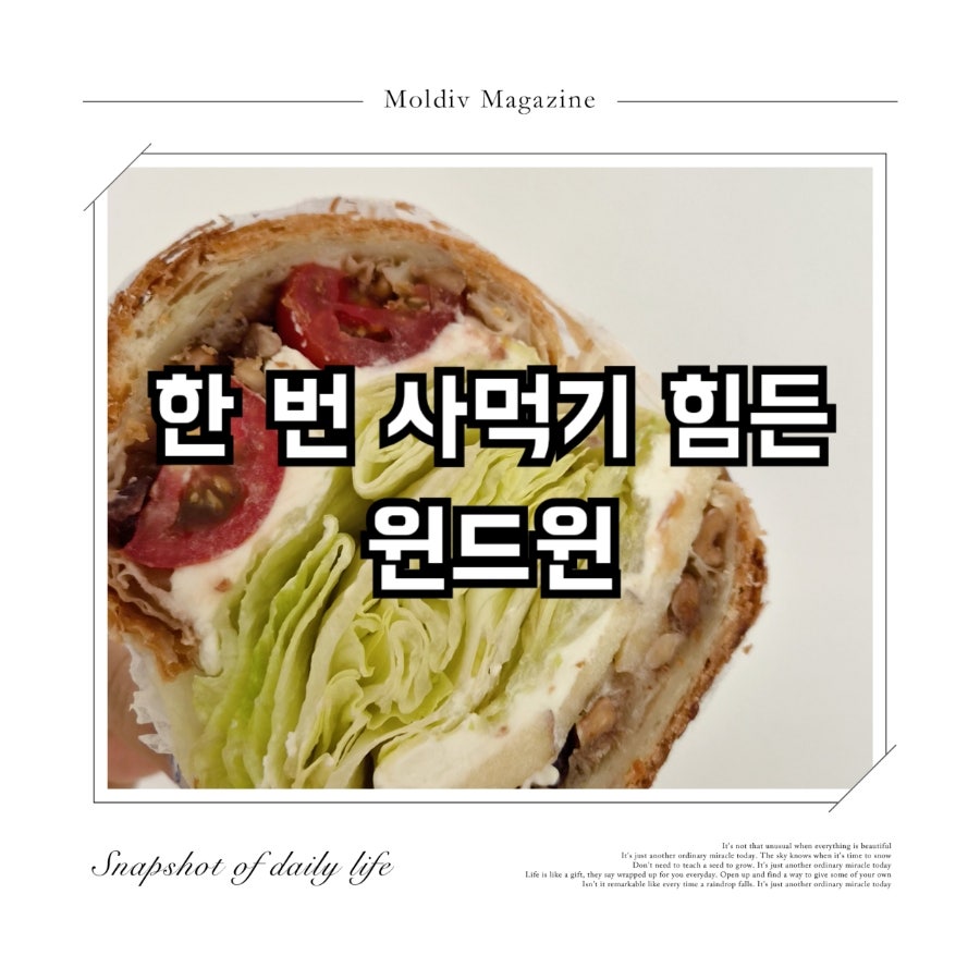 윈드윈 사진 1