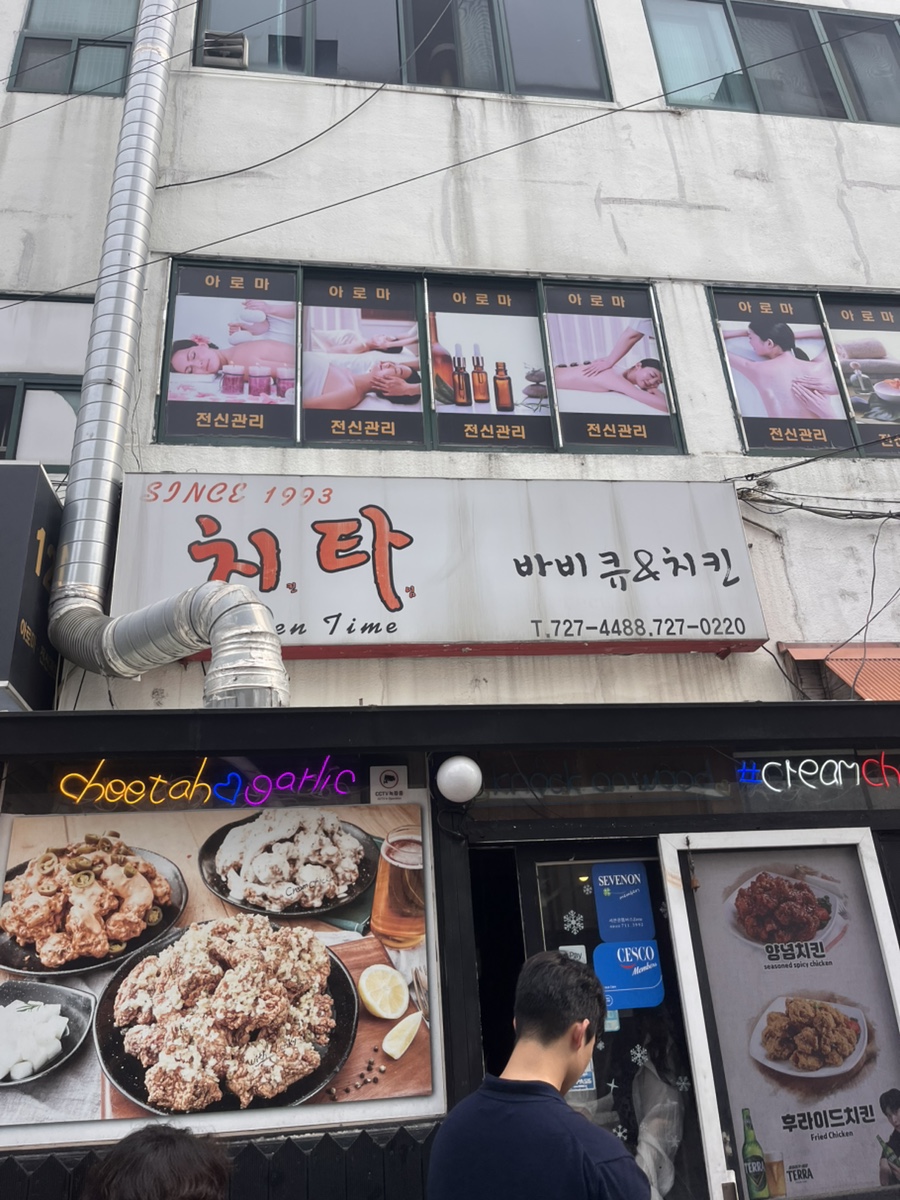 치타 사진 3