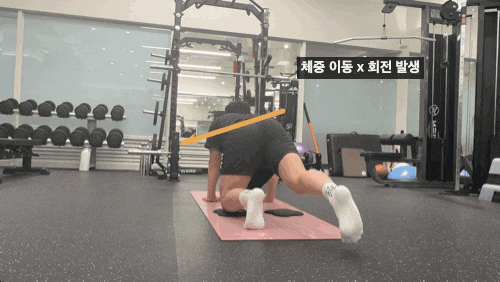 기초 코어운동 버드독 완전 정복하기: 좋은 자세는?[폴짐 광화문]
