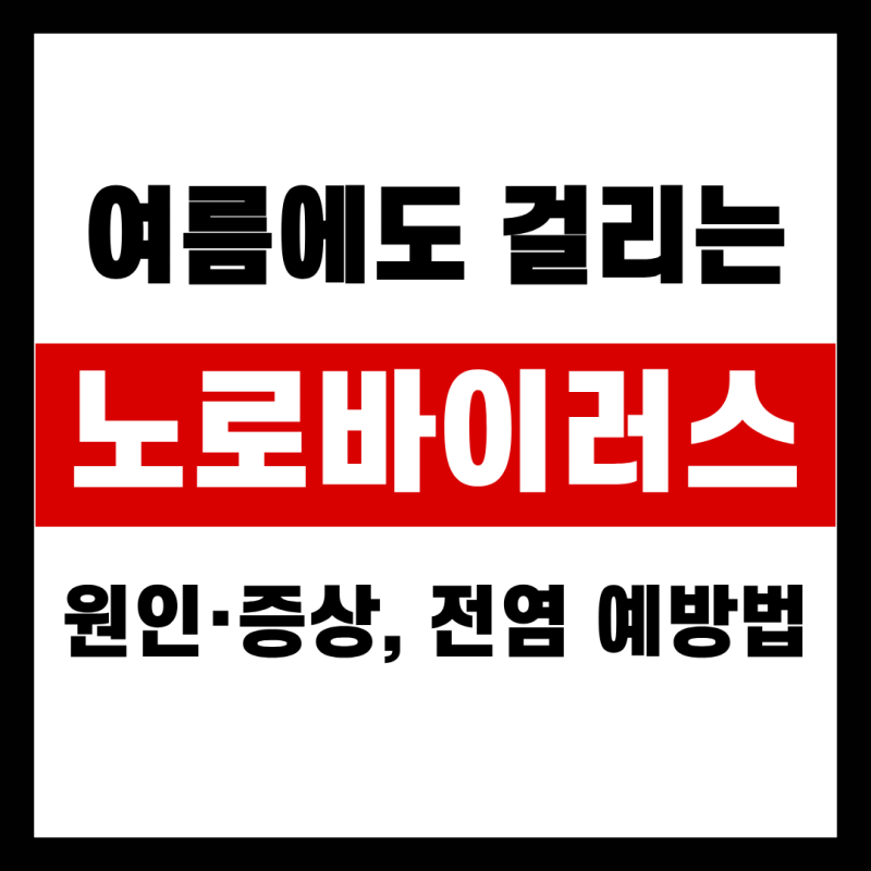 여름에도 걸리는 노로바이러스 원인·증상 전염 예방법까지