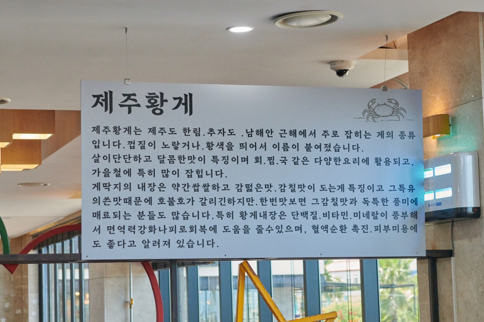 용담밭담 사진 3