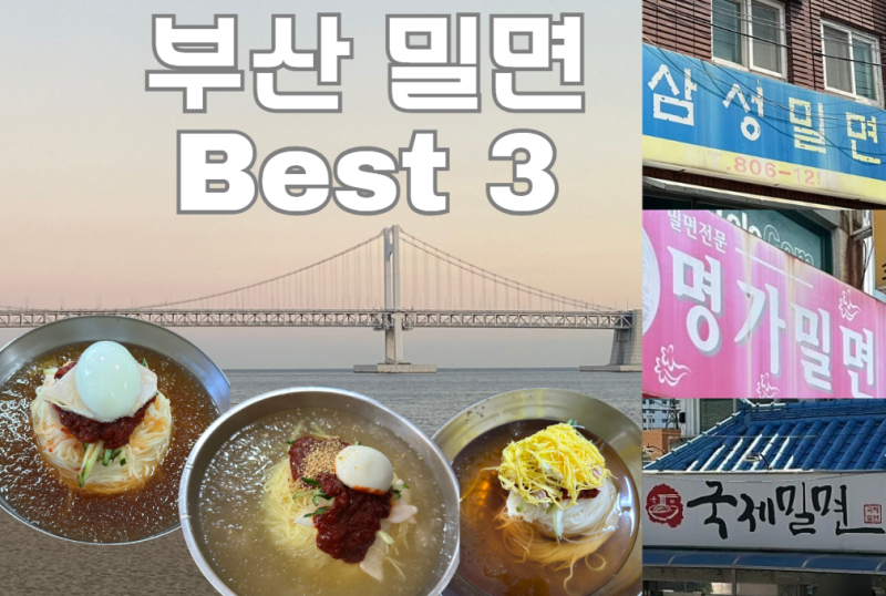 부산밀면 BEST3 (명가밀면 국제밀면 삼성밀면) 웨이팅 주차 총정리