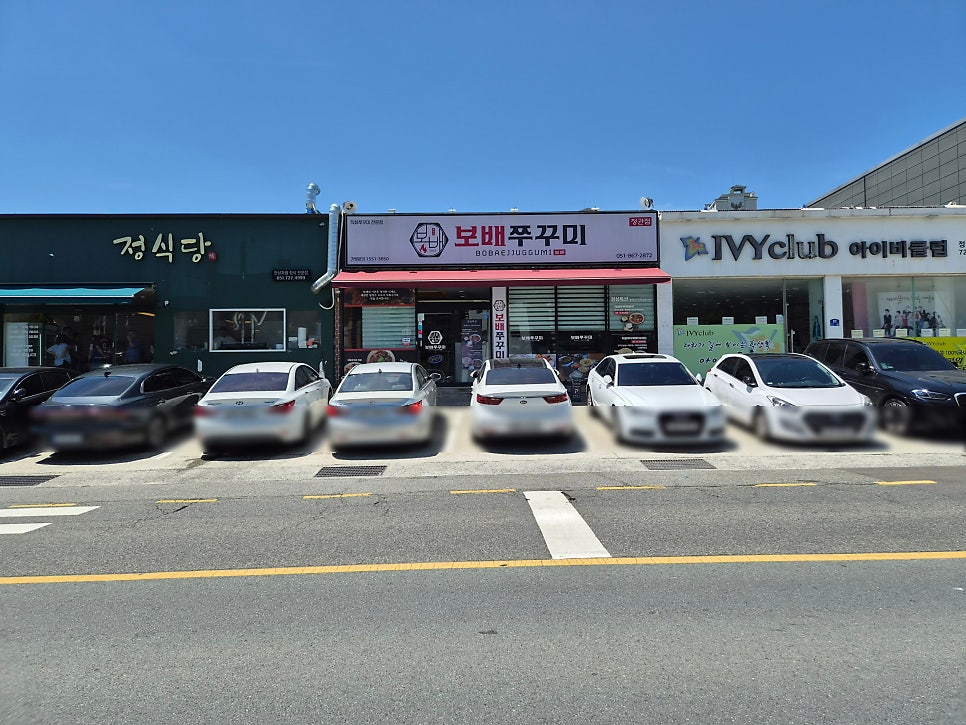 보배쭈꾸미 정관점 사진 3